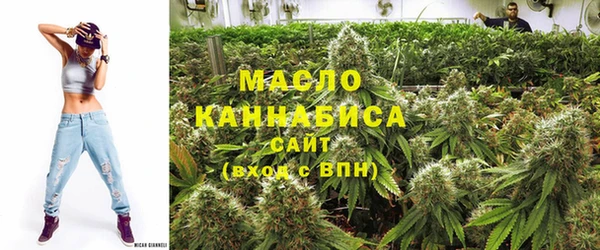 спиды Богородицк