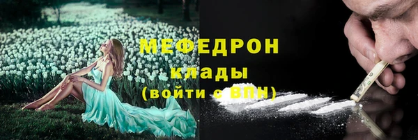спиды Богородицк