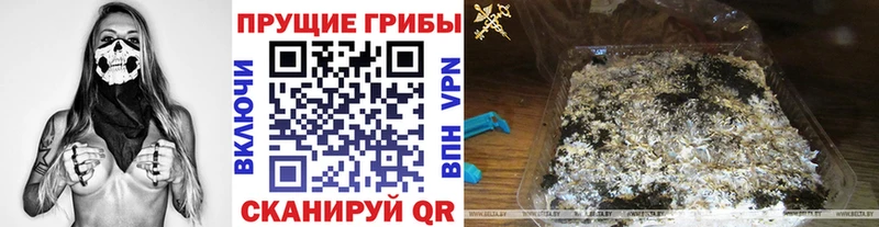 Галлюциногенные грибы мухоморы  Минусинск 