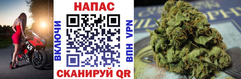 Бошки Шишки OG Kush  цены   Минусинск 